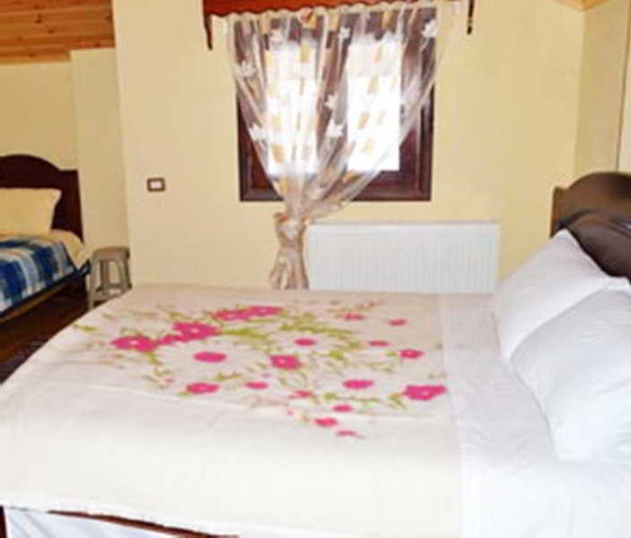 Pashuta Hotel 4*